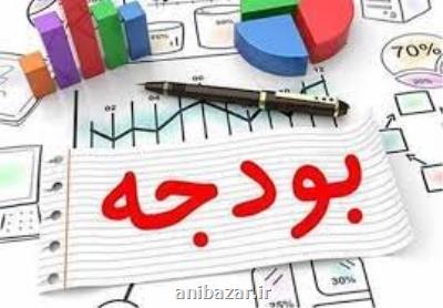 نقاط ضعف و قوت بودجه سال ۱۴۰۱ از زبان بیگی نژاد