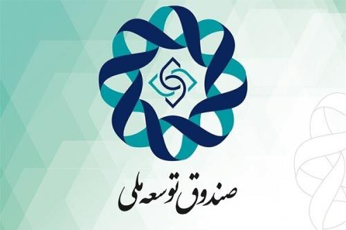 ریال مانایی می تواند مورد استفاده تسهیلات گیرندگان بخش های اقتصادی قرار گیرد