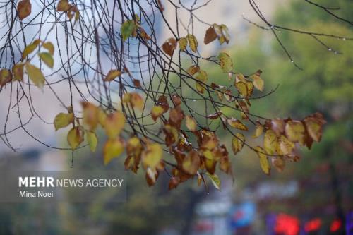 هواشناسی ایران امروز ۱۱ مهر صدور اخطار سرمازدگی