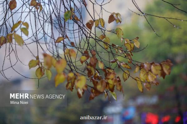 هواشناسی ایران امروز ۱۱ مهر صدور اخطار سرمازدگی