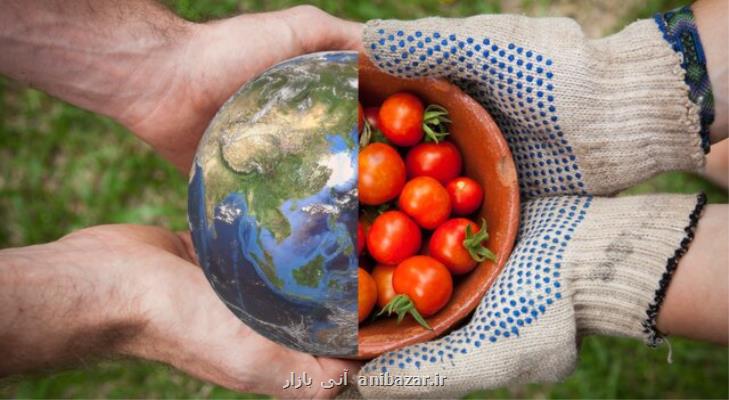 تاب آوری نظام غذایی ایران در سه دهه گذشته