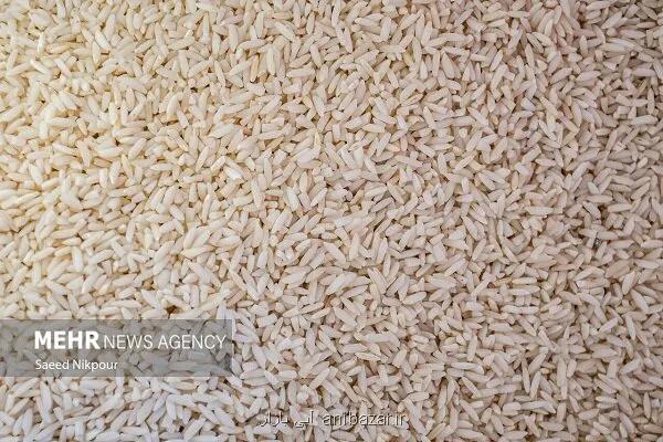 بازار برنج با توزیع محموله های وارداتی ساماندهی می شود