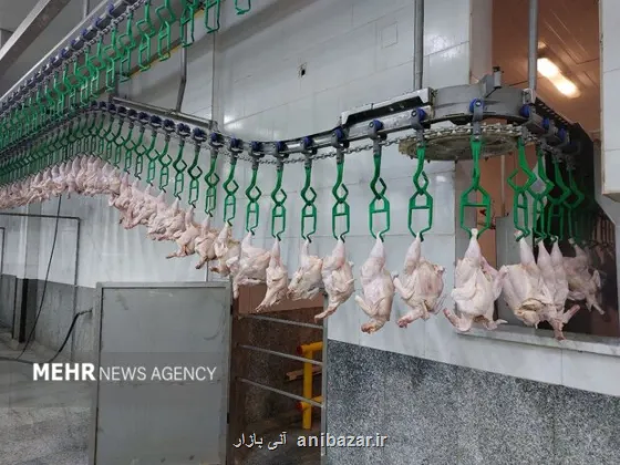 هر کیلو گرم گوشت مرغ ۱۶۸ هزار تومان شد بهمراه جدول قیمت کالاهای اساسی