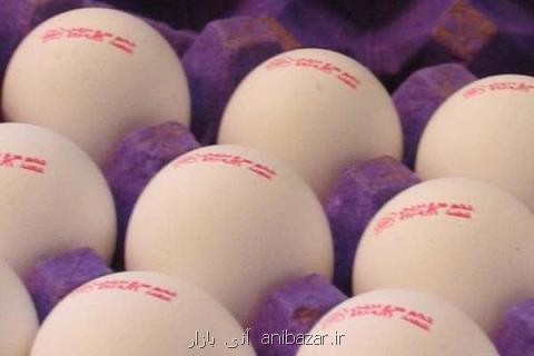 گرانی تخم مرغ در بازار
