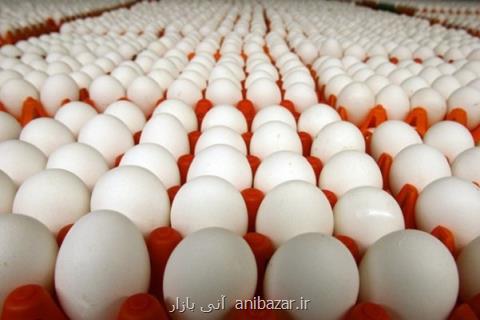 قیمت هر شانه تخم مرغ حداكثر ۱۲۵۰۰ تومان است