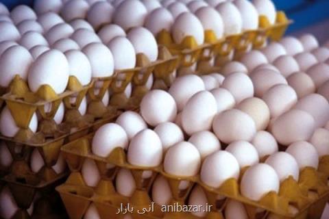 تخم مرغ گران تر شد، هر عدد ۷۰۰ تومان