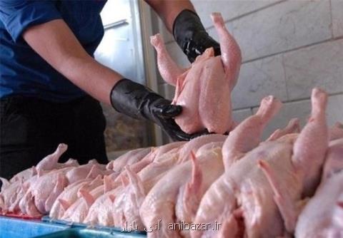افزایش تقاضا عامل گرانی مرغ، مردم نه گوشت می توانند بخرند نه ماهی