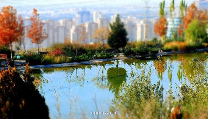 معاملات ملك اندكی تكان خورد