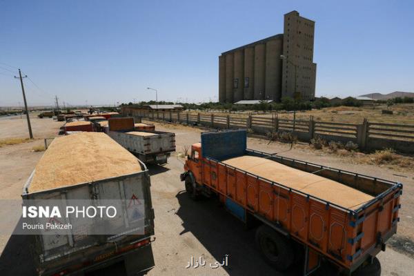 شرایط و نرخ خرید تضمینی محصولات زراعی در سالهای ۹۸ و ۹۹  بعلاوه جدول